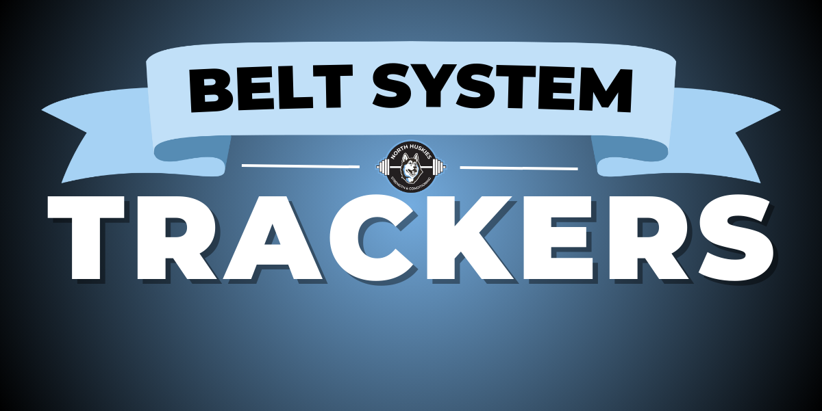 BELT-SYSTEM-1 Home